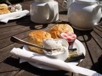 Cream Tea 